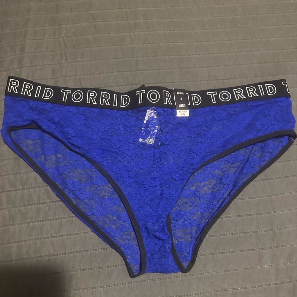 Torrid lace hipster panties